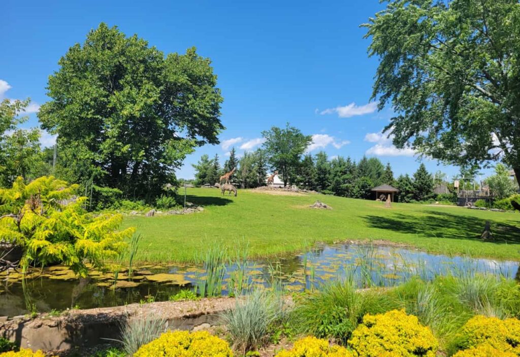 Picture of Culture of Roxton Pond by Jet Loans 1 1