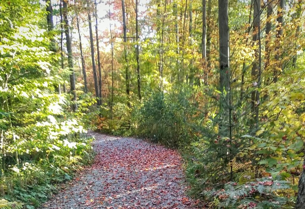 Thumbnail For St. Alphonse Granby Camping St Alphonse Trails By Jet Loans