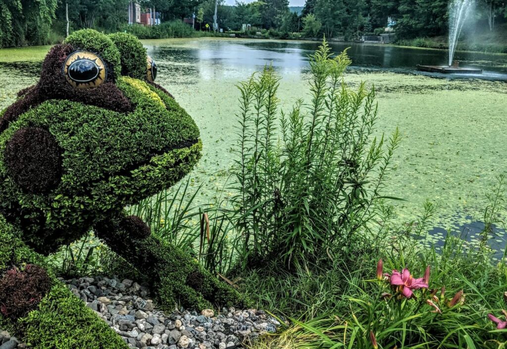 Thumbnail-For-Domaine-Howard Park-Frog-Pond-By-Jet Loans