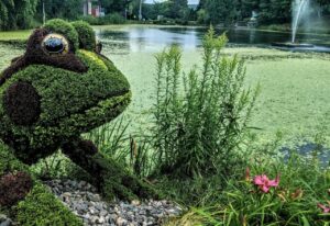 Thumbnail-For-Domaine-Howard Park-Frog-Pond-By-Jet Loans