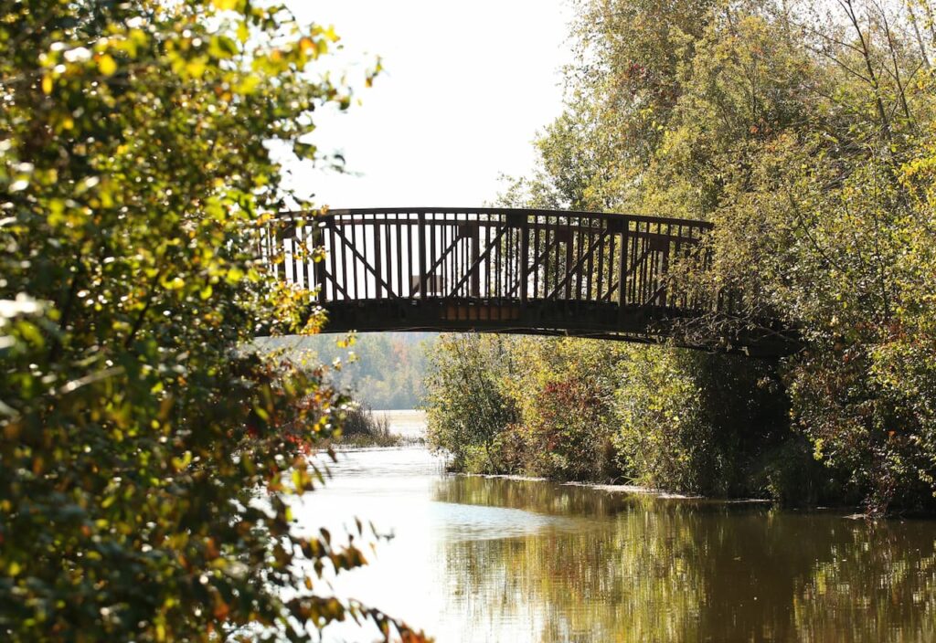 Thumbnail-For-Boardwalk Bridge-Centre d_Interprétation de la Nature du Lac Boivin-By-Jet Loans