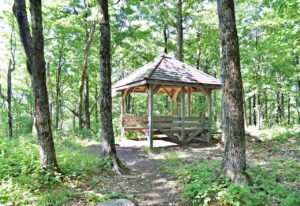 Thumbnail-For-Mont Shefford -By-Jet Loans